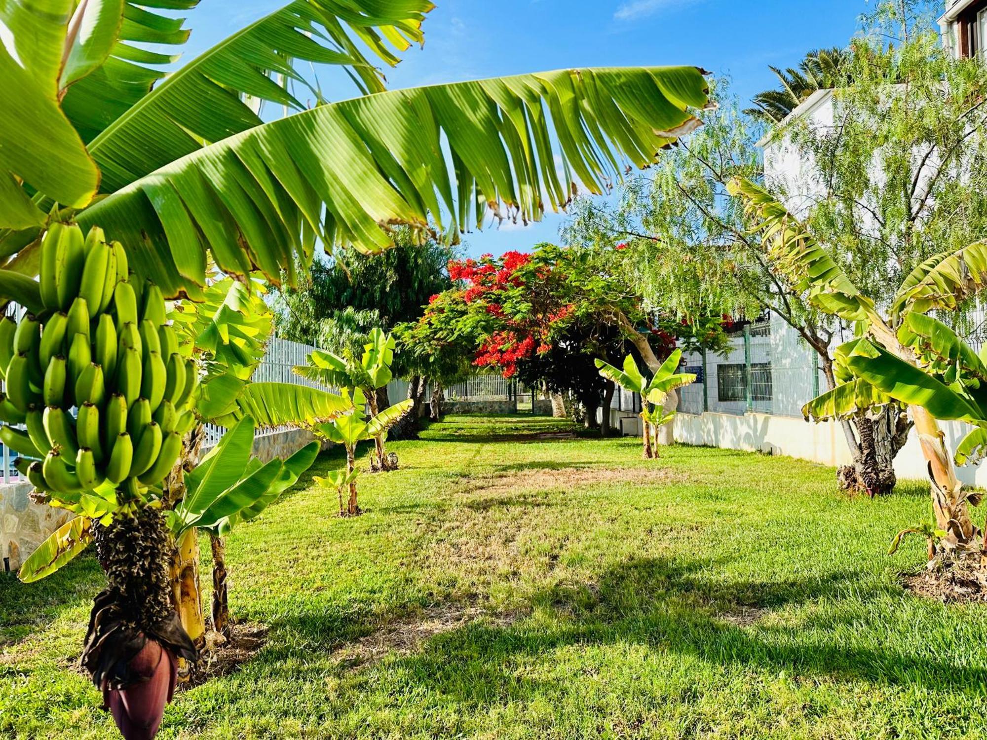 Quiet Apartment Chayofita Arona  Exterior photo